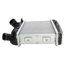 Intercooler BOGAP C4220103 for SMART OE 0002490V005