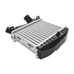 Intercooler BOGAP C4220103 for SMART OE 0002490V005