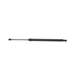 Tailgate Strut - RIDEX 219G0952