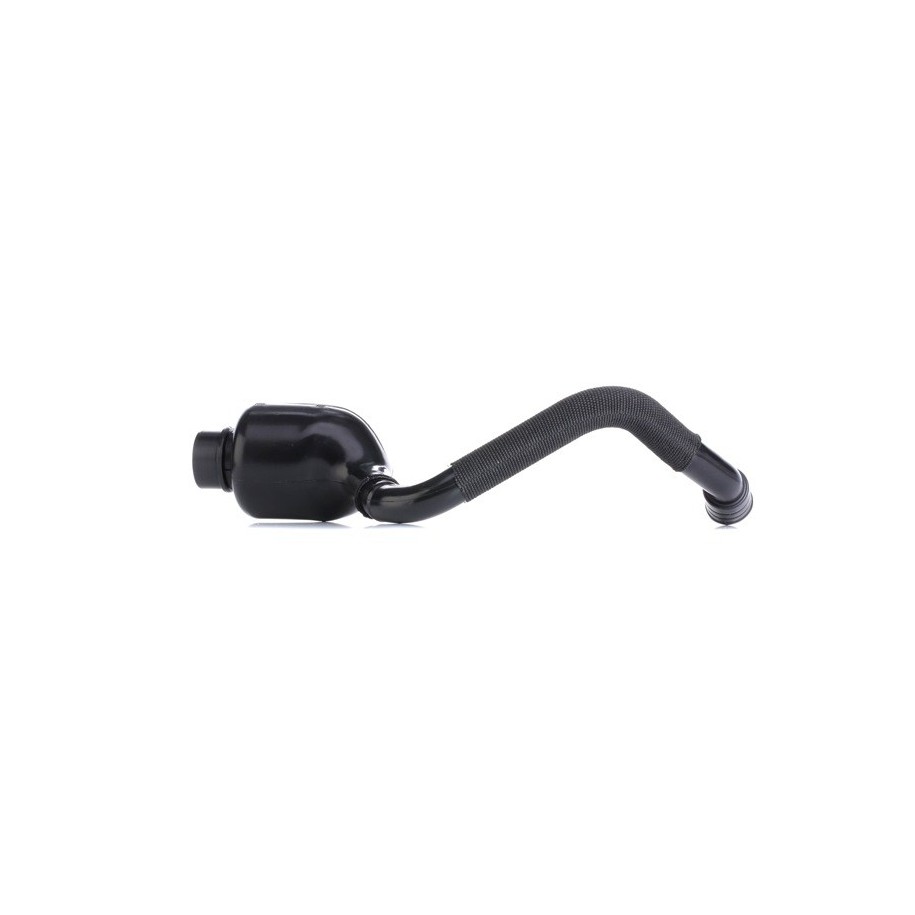 Ventilation Oil Separator - RIDEX 3886V0045