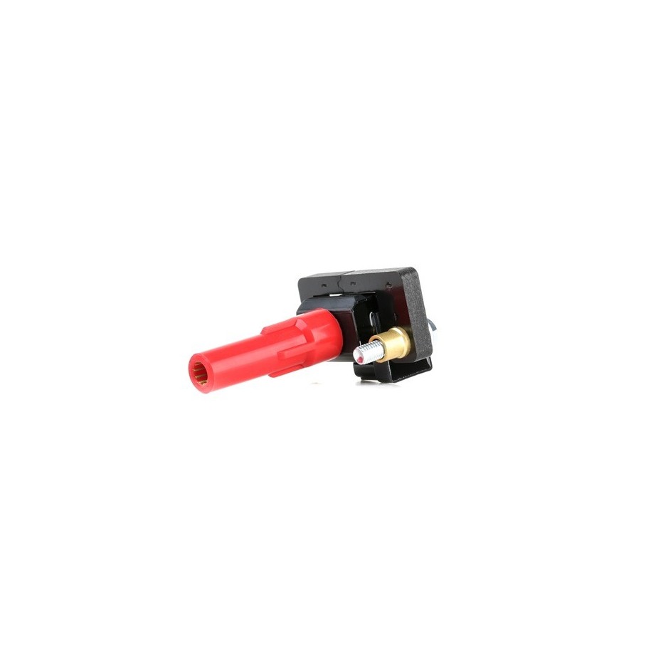 Ignition Coil - RIDEX 689C0378