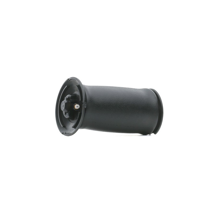 Suspension Air Spring - RIDEX 4119A0044