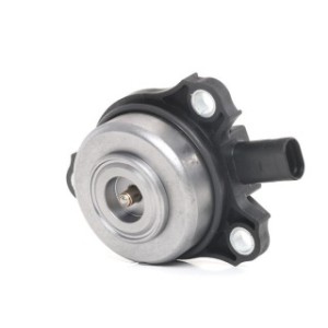 Camshaft Adjustment Central Magnet - RIDEX 4229C0003