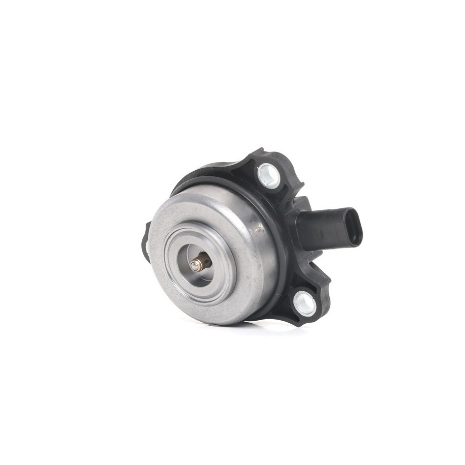 Camshaft Adjustment Central Magnet - RIDEX 4229C0003