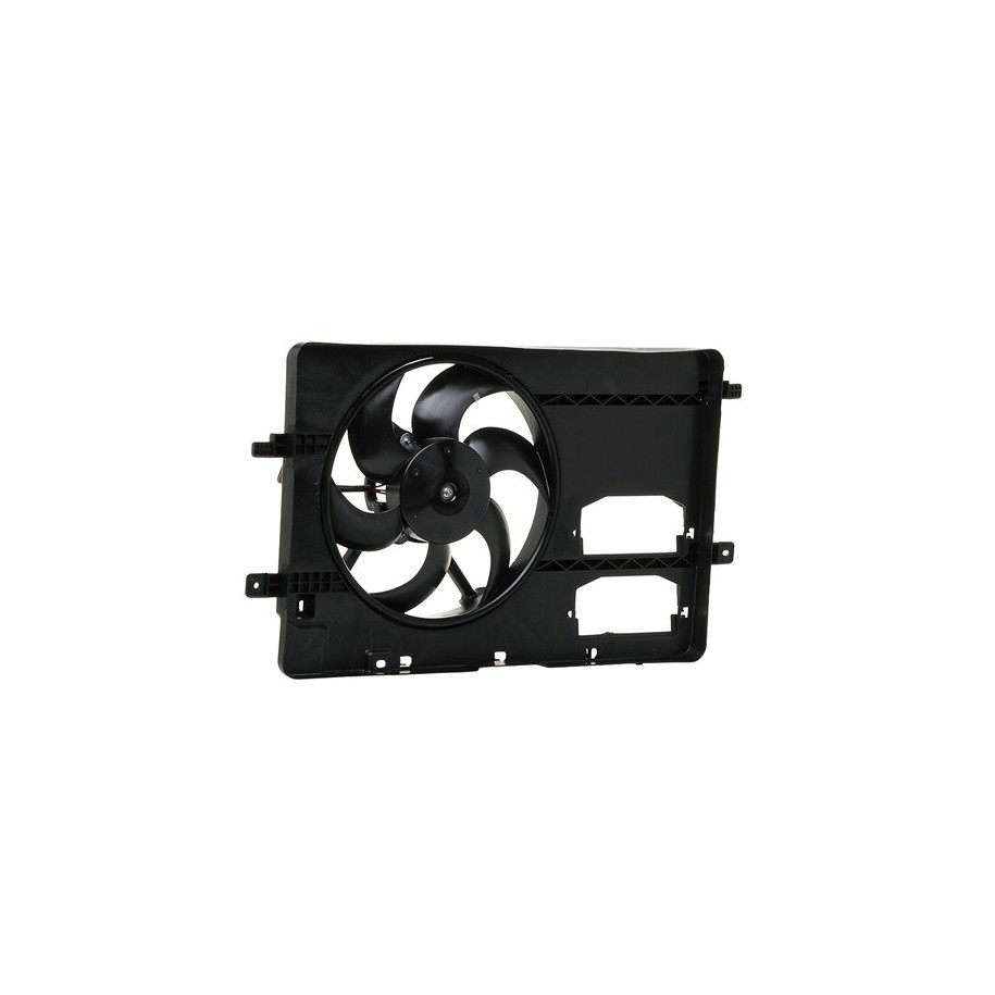 Engine Cooling Fan - RIDEX 508R0192