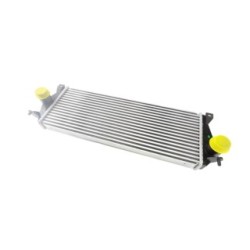 Intercooler BOGAP E4220100 for LAND ROVER DISCOVERY OE BTP5521