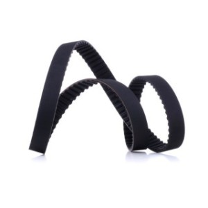 Timing Belt - RIDEX 306T0304
