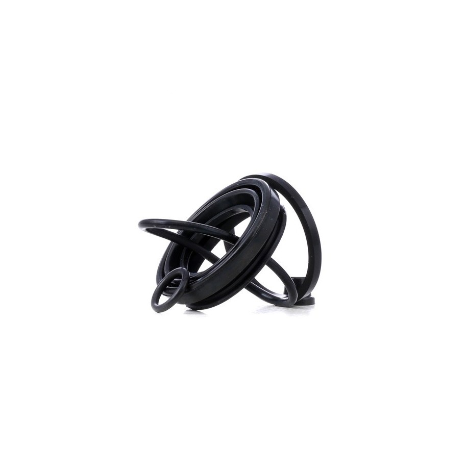 Brake Caliper Kit - RIDEX 405R0150