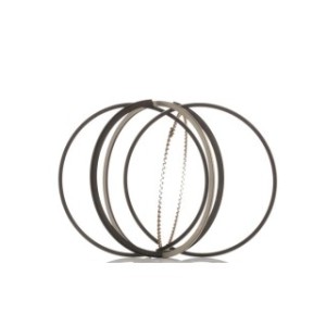 Piston Ring Kit - RIDEX 444P0018