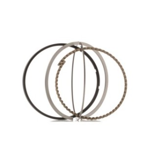 Piston Ring Kit - RIDEX 444P0020