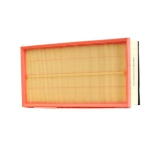 Air Filter - RIDEX 8A1613