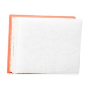 Air Filter - RIDEX 8A1615