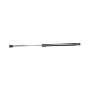Tailgate Strut - RIDEX 219G0956