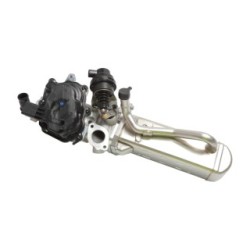 EGR Valve BOGAP F6320101 for FORD MONDEO, GALAXY OE 1701764