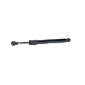 Tailgate Strut - RIDEX 219G0957
