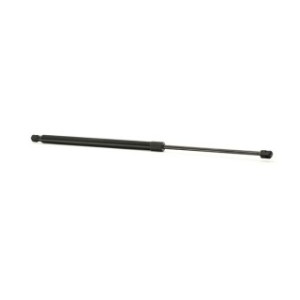 Tailgate Strut - RIDEX 219G0958