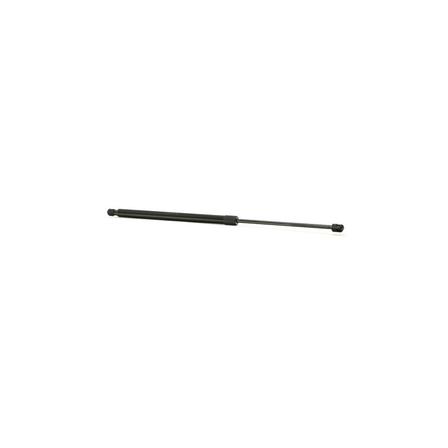 Tailgate Strut - RIDEX 219G0958