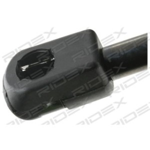 Tailgate Strut - RIDEX 219G0958