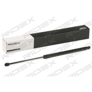 Tailgate Strut - RIDEX 219G0958