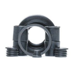 Brake Caliper Kit - RIDEX 405R0172