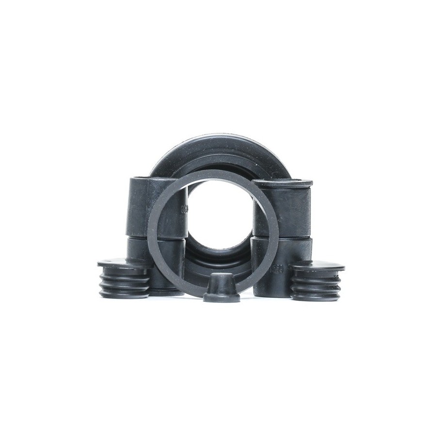 Brake Caliper Kit - RIDEX 405R0172