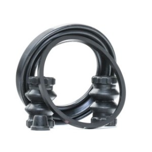 Brake Caliper Kit - RIDEX 405R0173