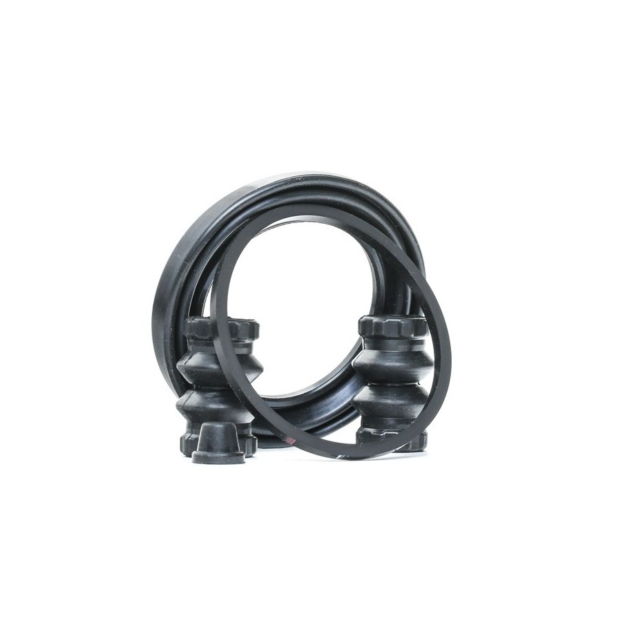 Brake Caliper Kit - RIDEX 405R0173