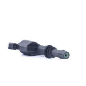 Ignition Coil - RIDEX 689C0387