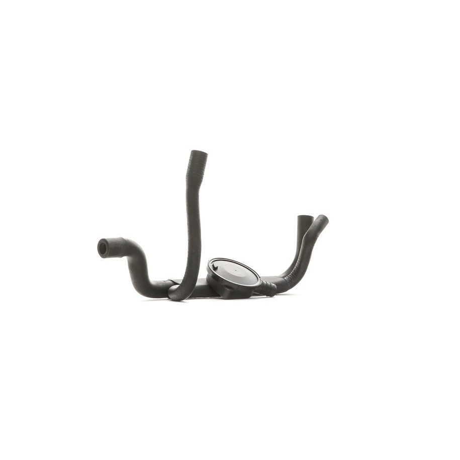 Ventilation Kit - RIDEX 3886V0056