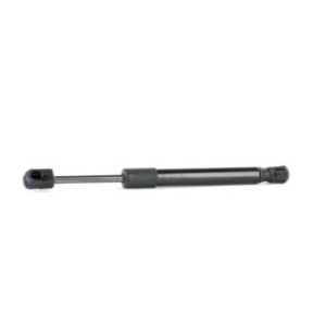 Tailgate Strut - RIDEX 219G0962