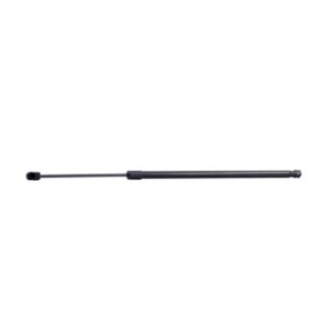 Tailgate Strut - RIDEX 219G0963