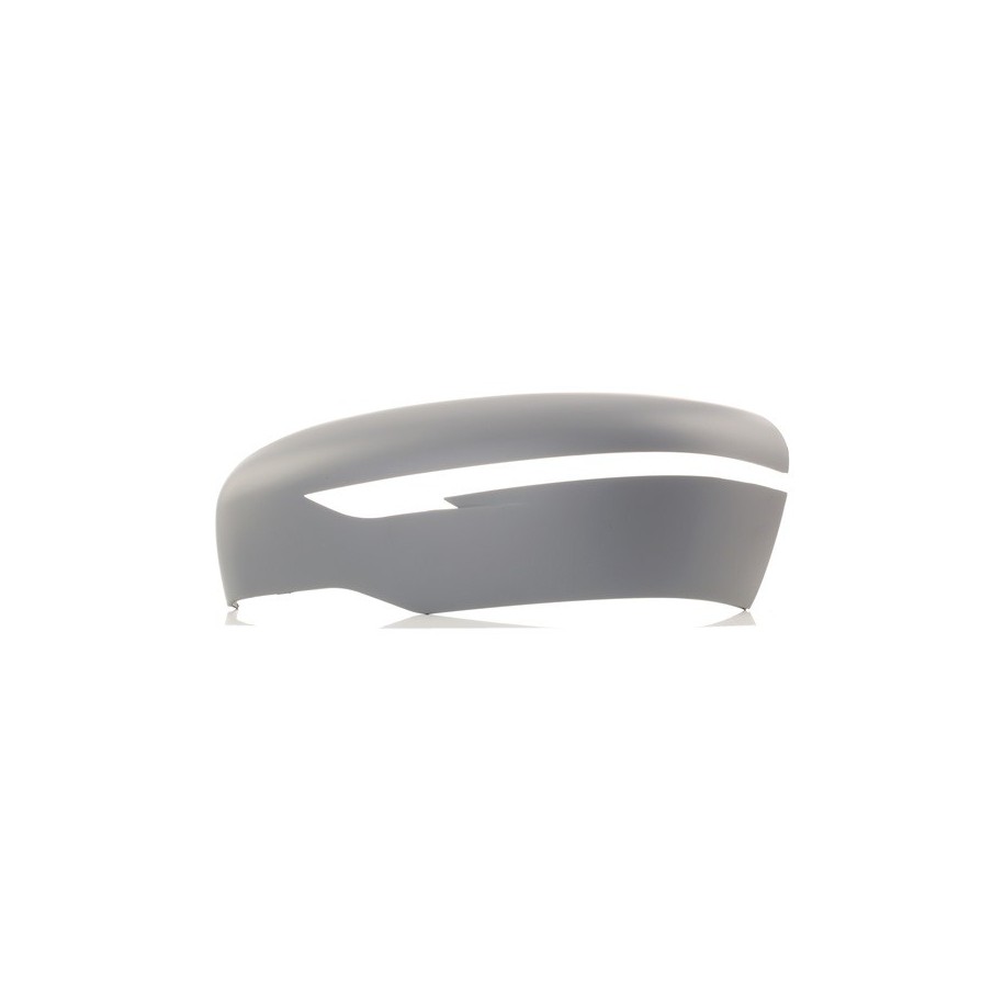 Exterior Mirror Cover - RIDEX 23A0123
