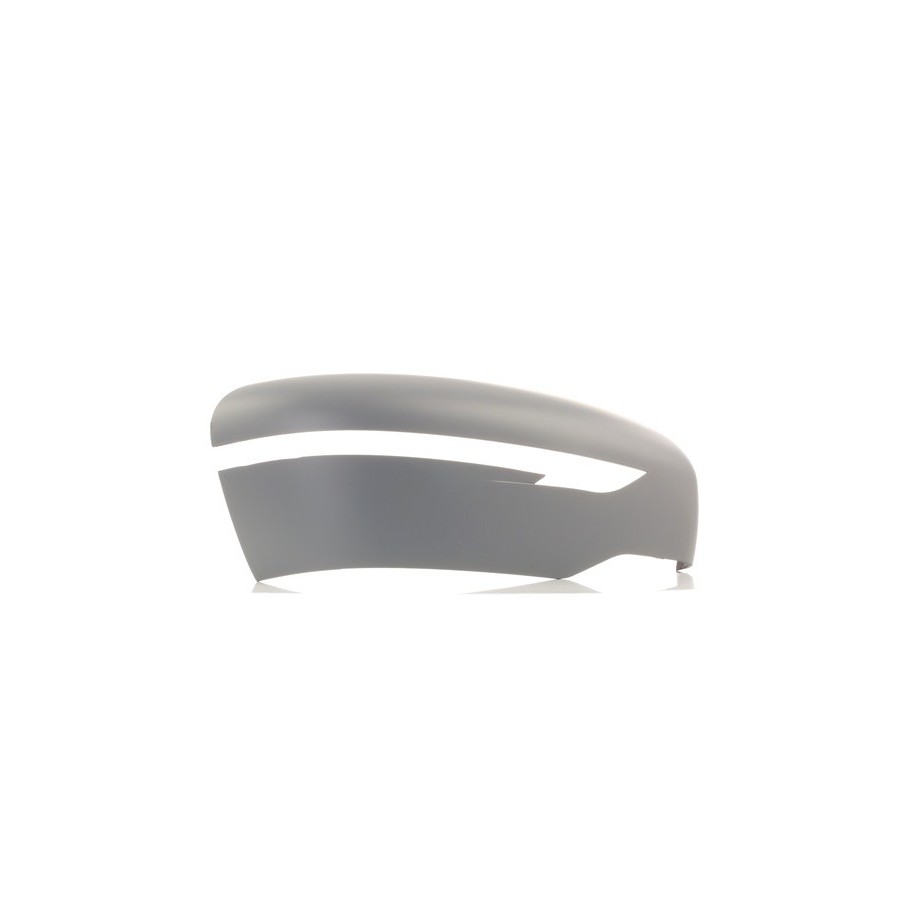 Exterior Mirror Cover - RIDEX 23A0124