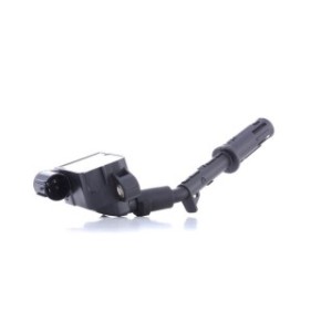 Ignition Coil - RIDEX 689C0391