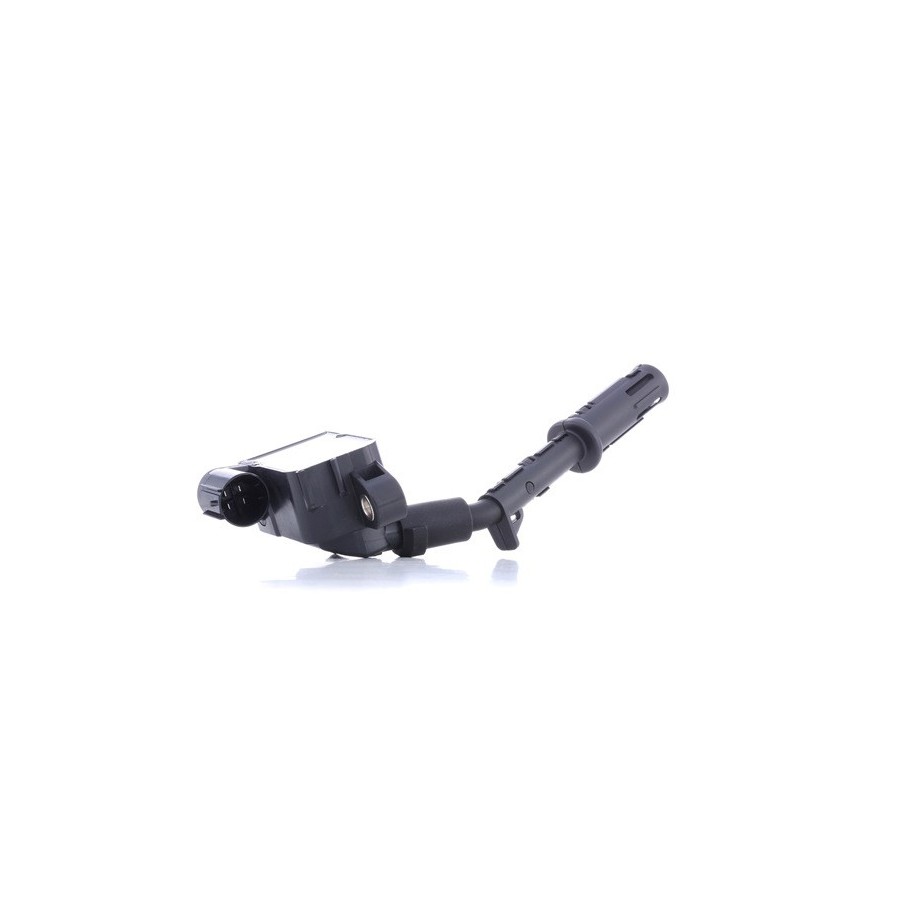 Ignition Coil - RIDEX 689C0391