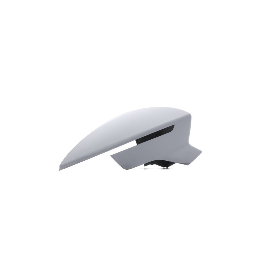 Exterior Mirror Cover - RIDEX 23A0127
