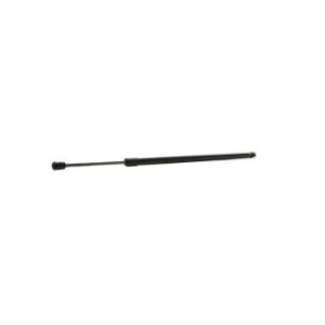 Tailgate Strut - RIDEX 219G0967