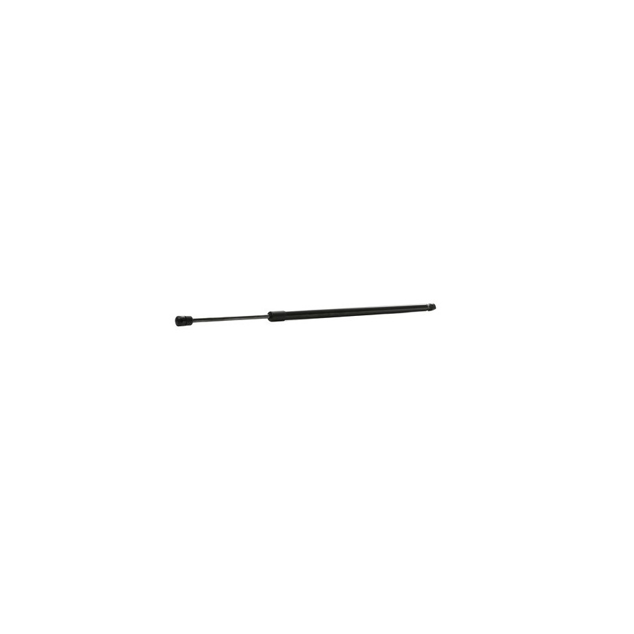 Tailgate Strut - RIDEX 219G0967