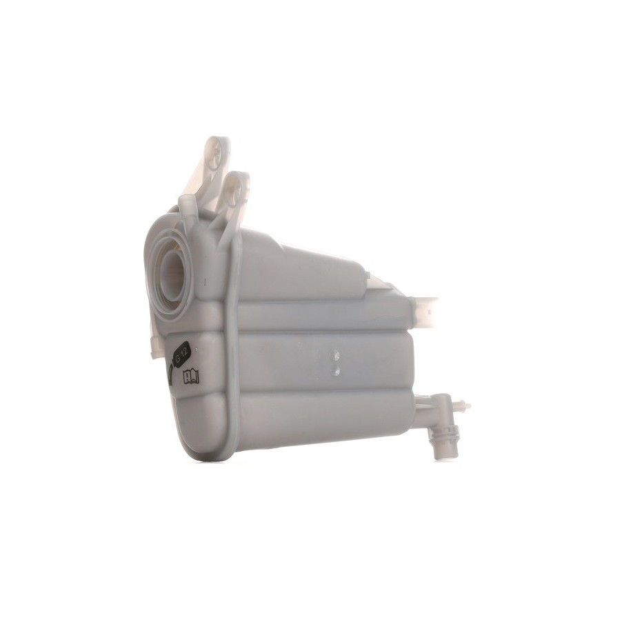 Coolant Expansion Tank - RIDEX 397E0165
