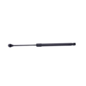 Tailgate Strut - RIDEX 219G0969