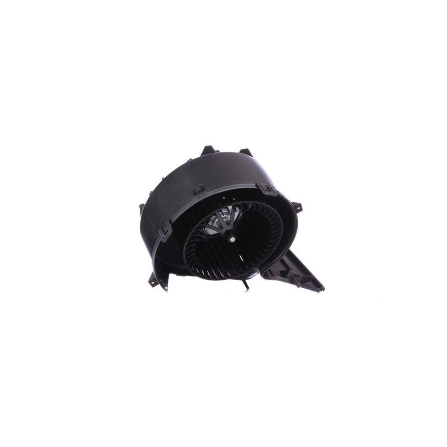 Heater Blower Motor - RIDEX 2669I0203