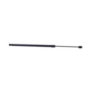 Tailgate Strut - RIDEX 219G0970