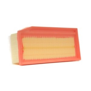 Air Filter - RIDEX 8A1622