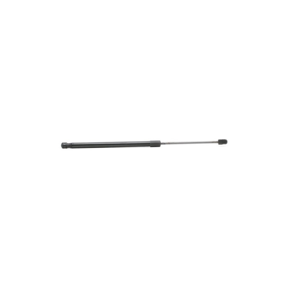 Tailgate Strut - RIDEX 219G0971
