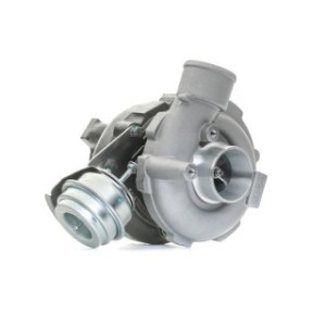 Turbocharger - RIDEX 2234C10171