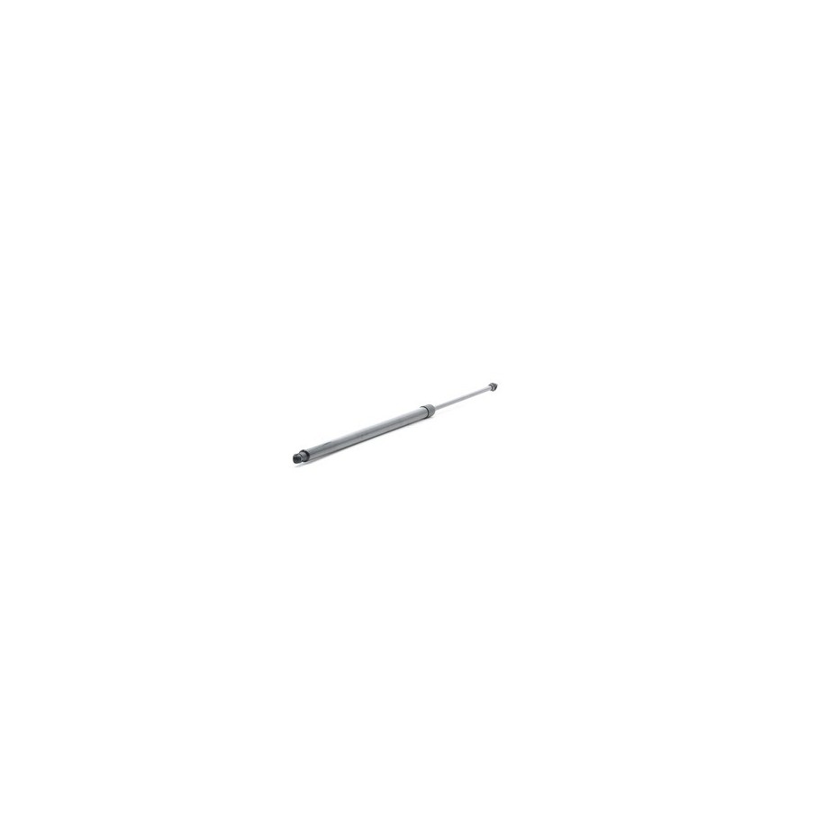 Tailgate Strut - RIDEX 219G0974