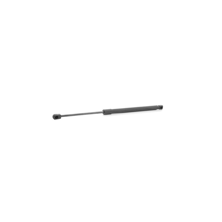 Tailgate Strut - RIDEX 219G0975