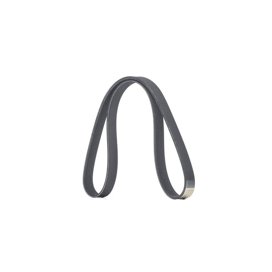 V Ribbed Belt - RIDEX 305P0484