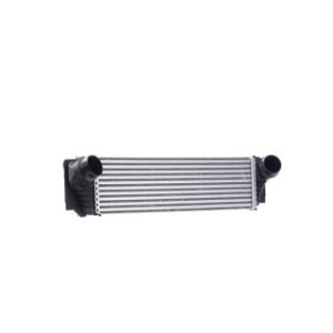 Intercooler - RIDEX 468I0171