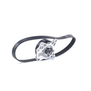 Water Pump V Ribbed Belt Set - RIDEX 4172P0058